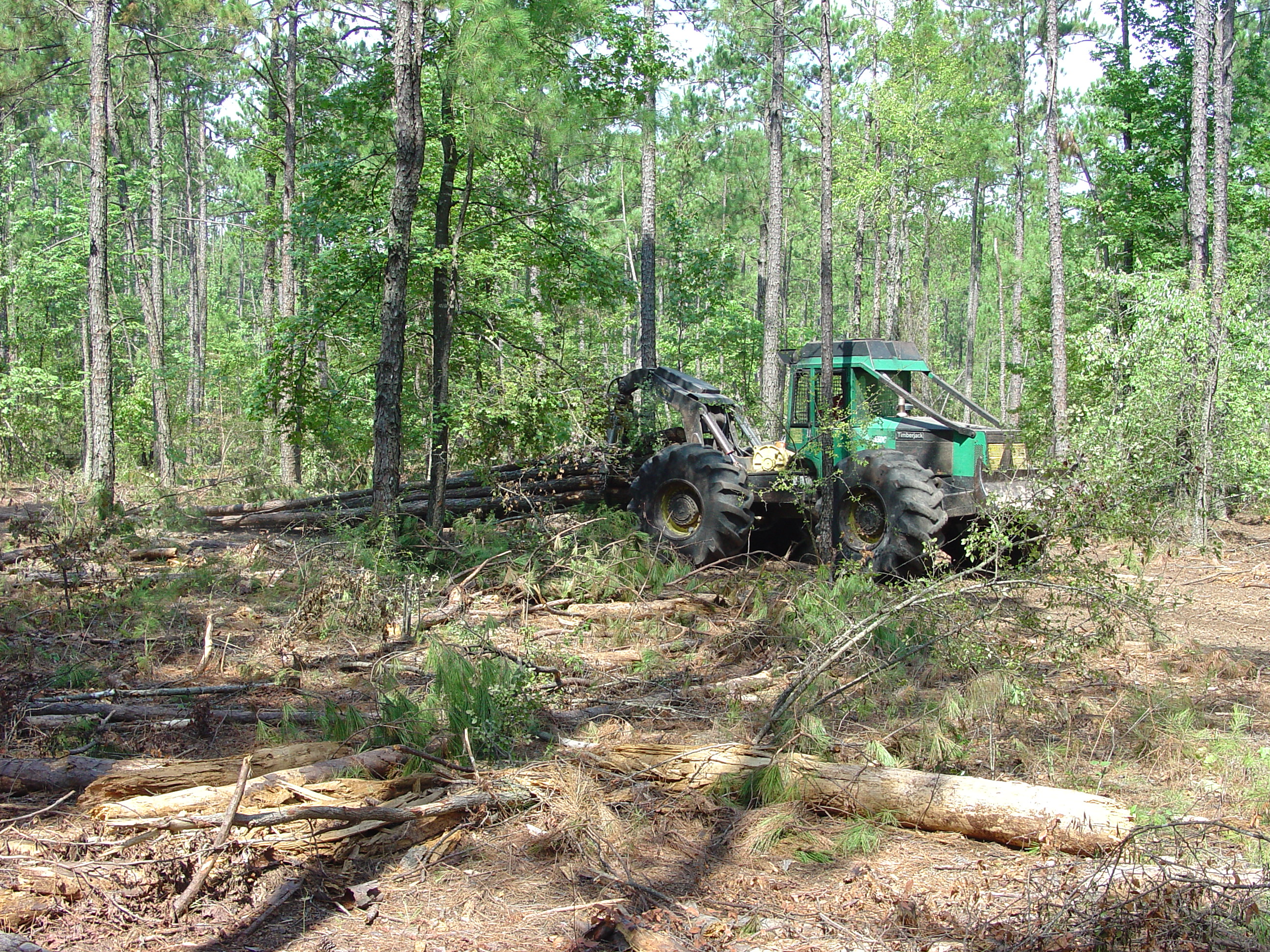 US Forest Service